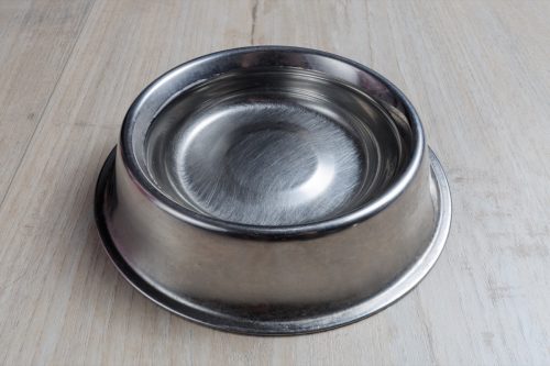 Pet Water Bowl