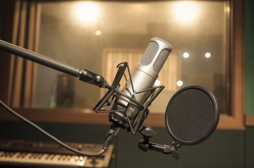 Professional condenser studio microphone