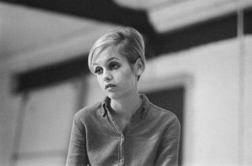 twiggy