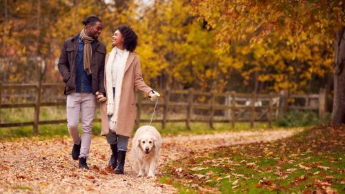 Couple walking dog in autumn