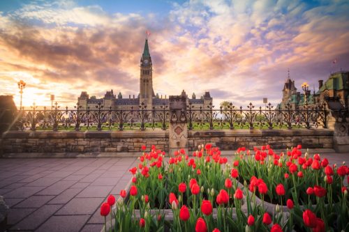 View of Canada Parliament building in Ottawa during tulip festival