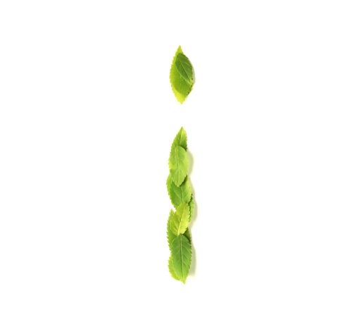 Lowercase letters made of leaves