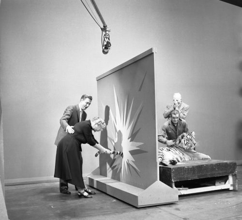 Bob Barker with a contestant holding a tiger's tail on "Truth or Consequences"