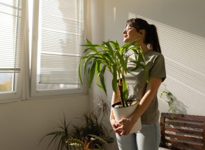 Front view of a woman holding a plant and looking through the window enjoying sunny day in her apartment
