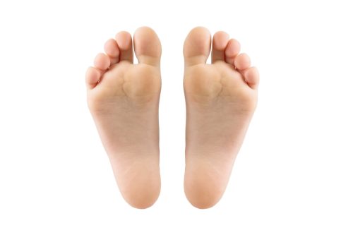 two feet isolated on white background.