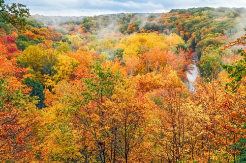 fall at cuyahoga national park