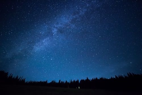 night sky over trees