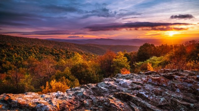 autumn dawn at shenandoah national park