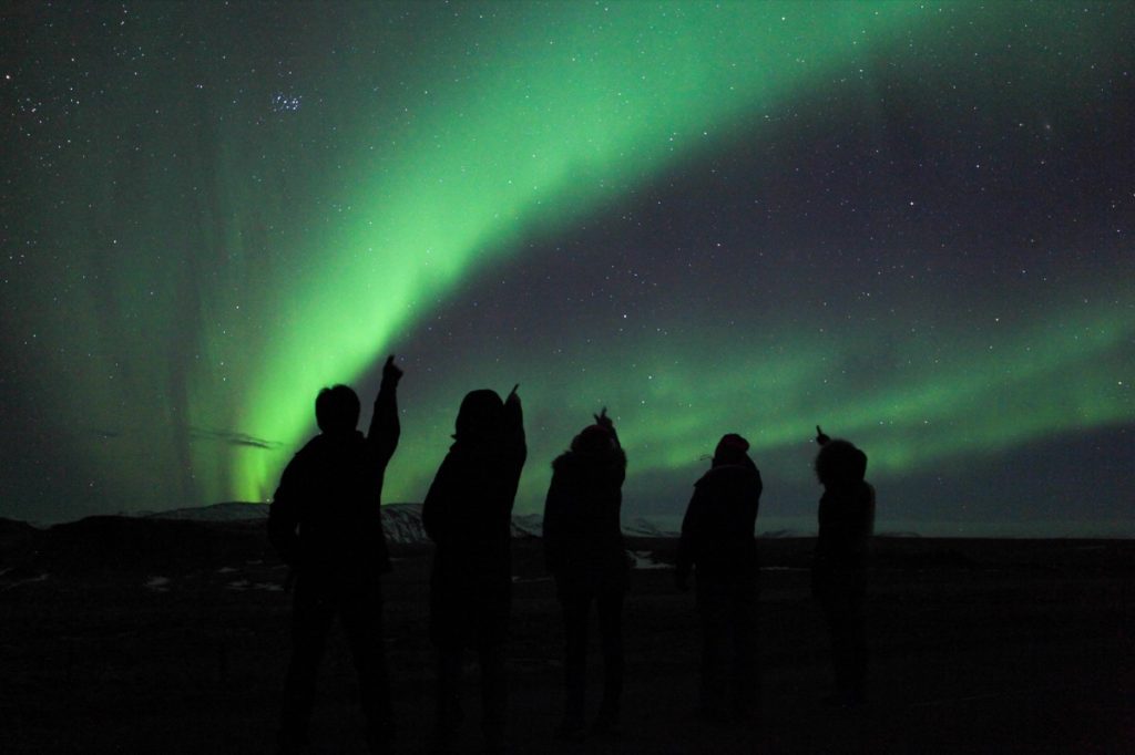 silhouette of five people looking up at northern lights