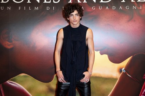 Timothée Chalamet at a photo call for "Bones and All" in 2022