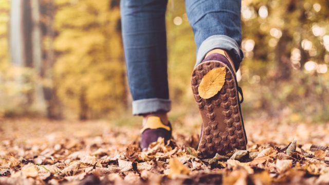 Autumn in the park sneakers in leaves
