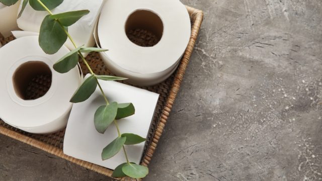 Basket with rolls of toilet paper and eucalyptus branch on grunge background