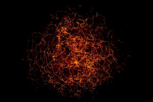quantum entanglement concept
