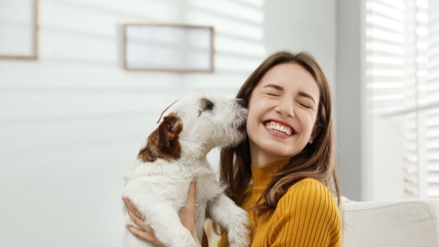 Dog Licking Woman's Face