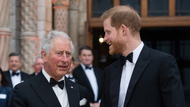 Charles and Harry at the "Our Planet" global premiere in 2019
