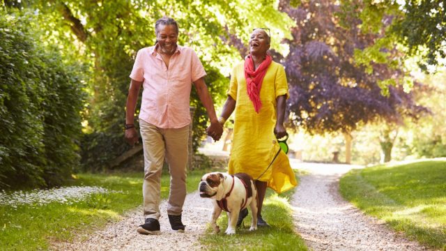 senior couple walking bulldog outside