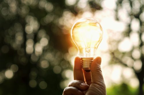 hand holding light bulb outdoors
