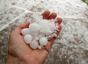 A person's hand holding hailstones after a storm