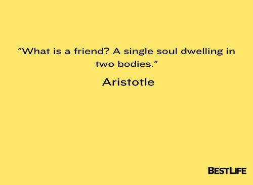 "What is a friend? A single soul dwelling in two bodies." — Aristotle