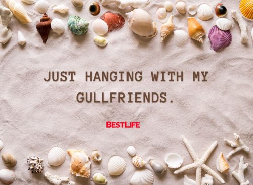 "just hanging with my gullfriends"