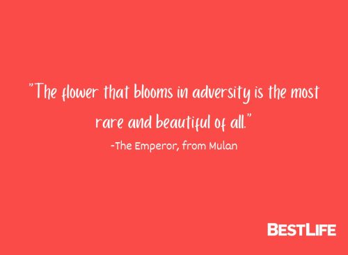 "The flower that blooms in adversity is the most rare and beautiful of all." —The Emperor, from Mulan
