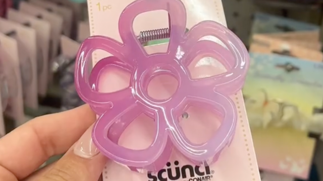 Its_erriiccaa tiktok dollartree hairclips