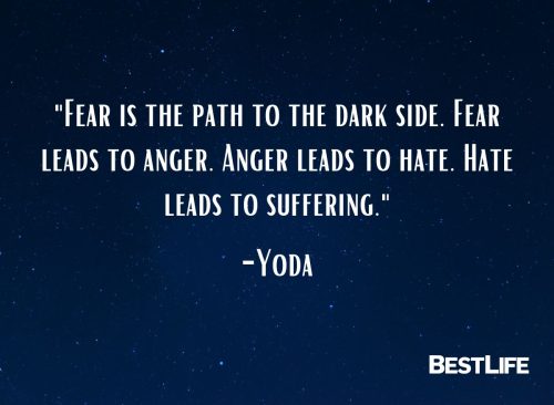 "Fear is the path to the dark side. Fear leads to anger. Anger leads to hate. Hate leads to suffering." — Yoda