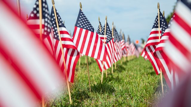 Hundreds of American flags planted on the lawn