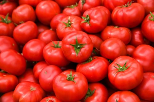pile of tomatoes