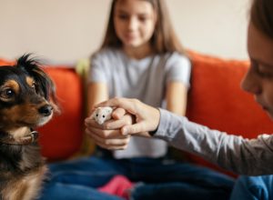 Two children playing with a hamster and small dog