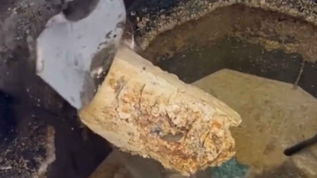 Still from a video showing a drain clogged with grease