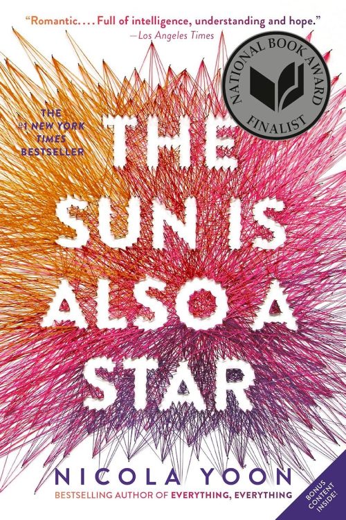The Sun Is Also a Star cover