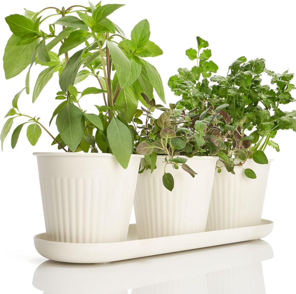 Kibaga herb garden