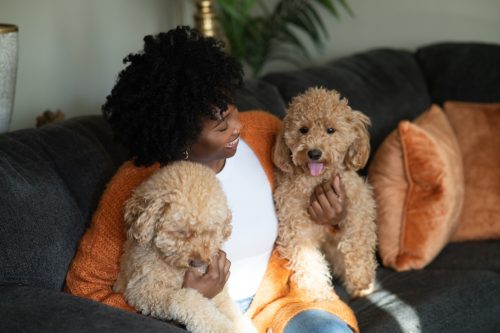Young woman spending time at home with her dogs