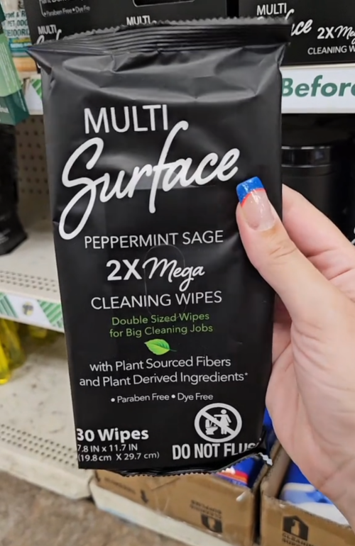 multi-surface wipes at Dollar Tree