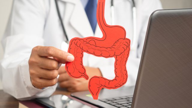 doctor sitting at desk holding out a red cutout of a large intestine