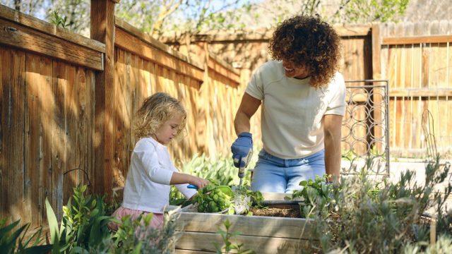 A woman and young girl gardening