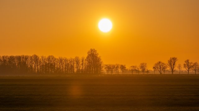 intense sunset caused by Saharan dust