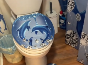 Still from a TikTok video showing a bathroom decorated in dolphin decor from Temu