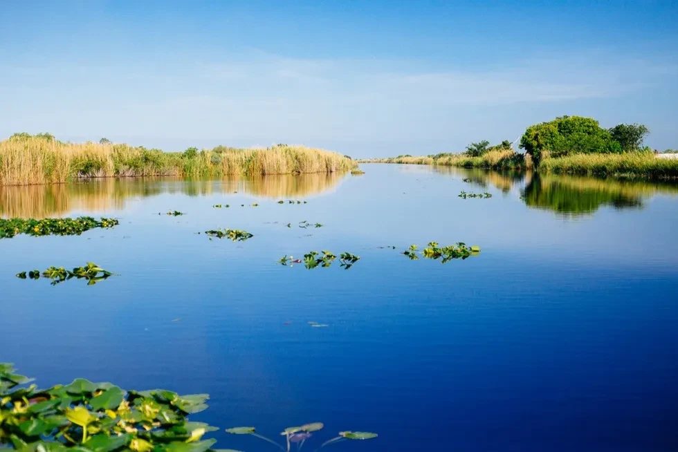 everglades national park