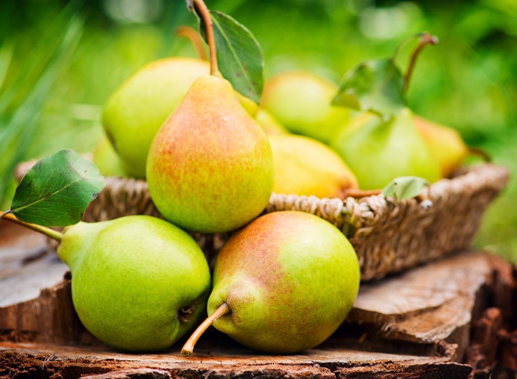 Freshly picked pears in basket