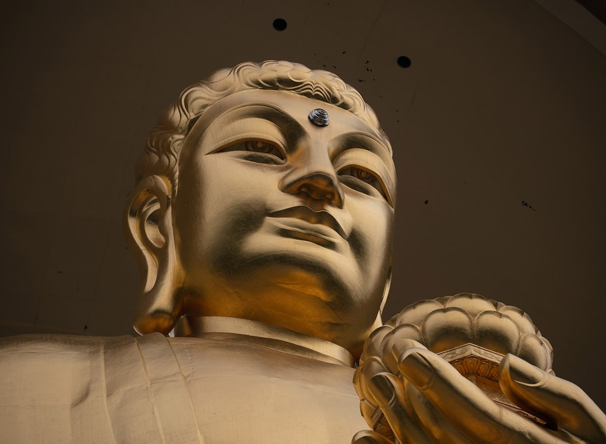The Donglin Giant Buddha on Mount Lushan, in China.