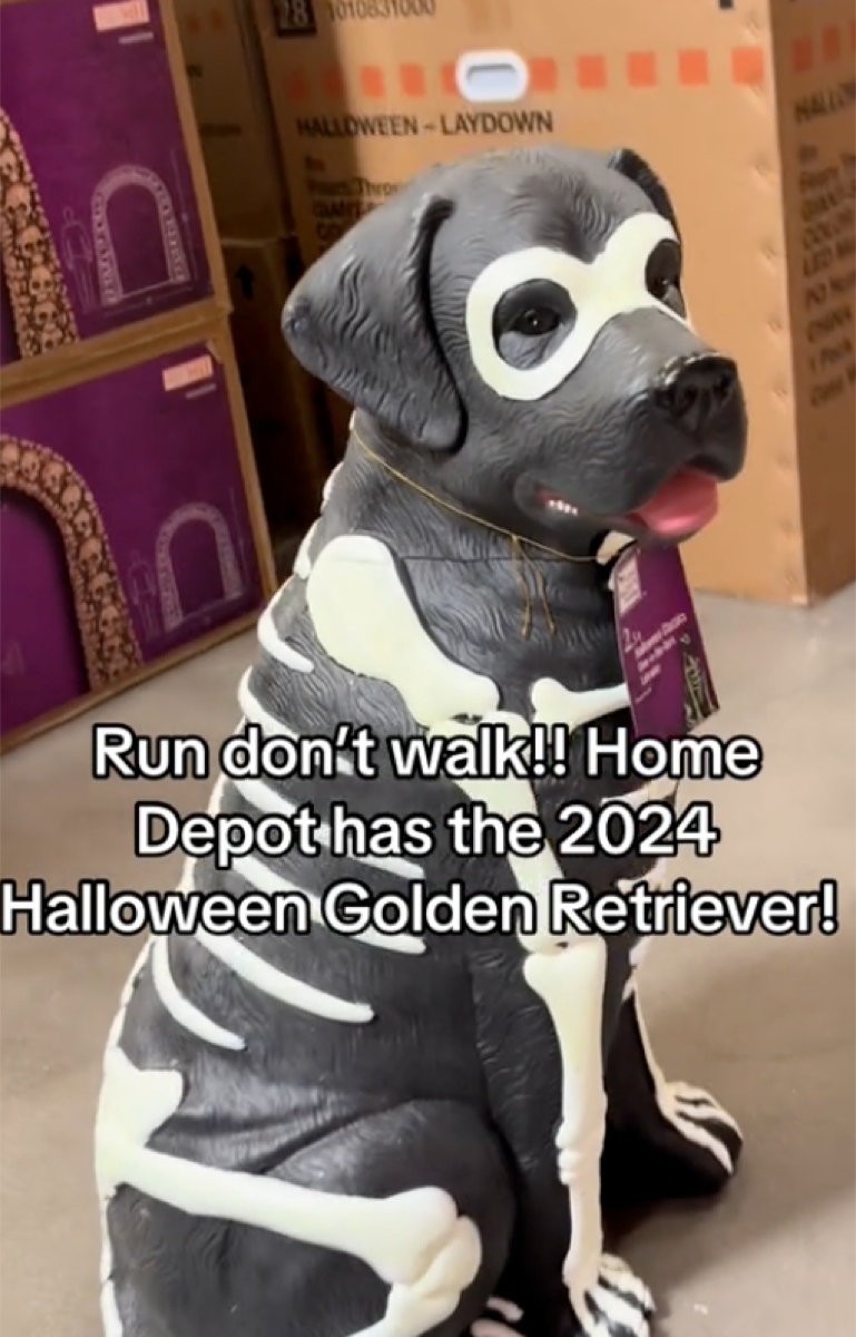 glow in the dark labrador from home depot