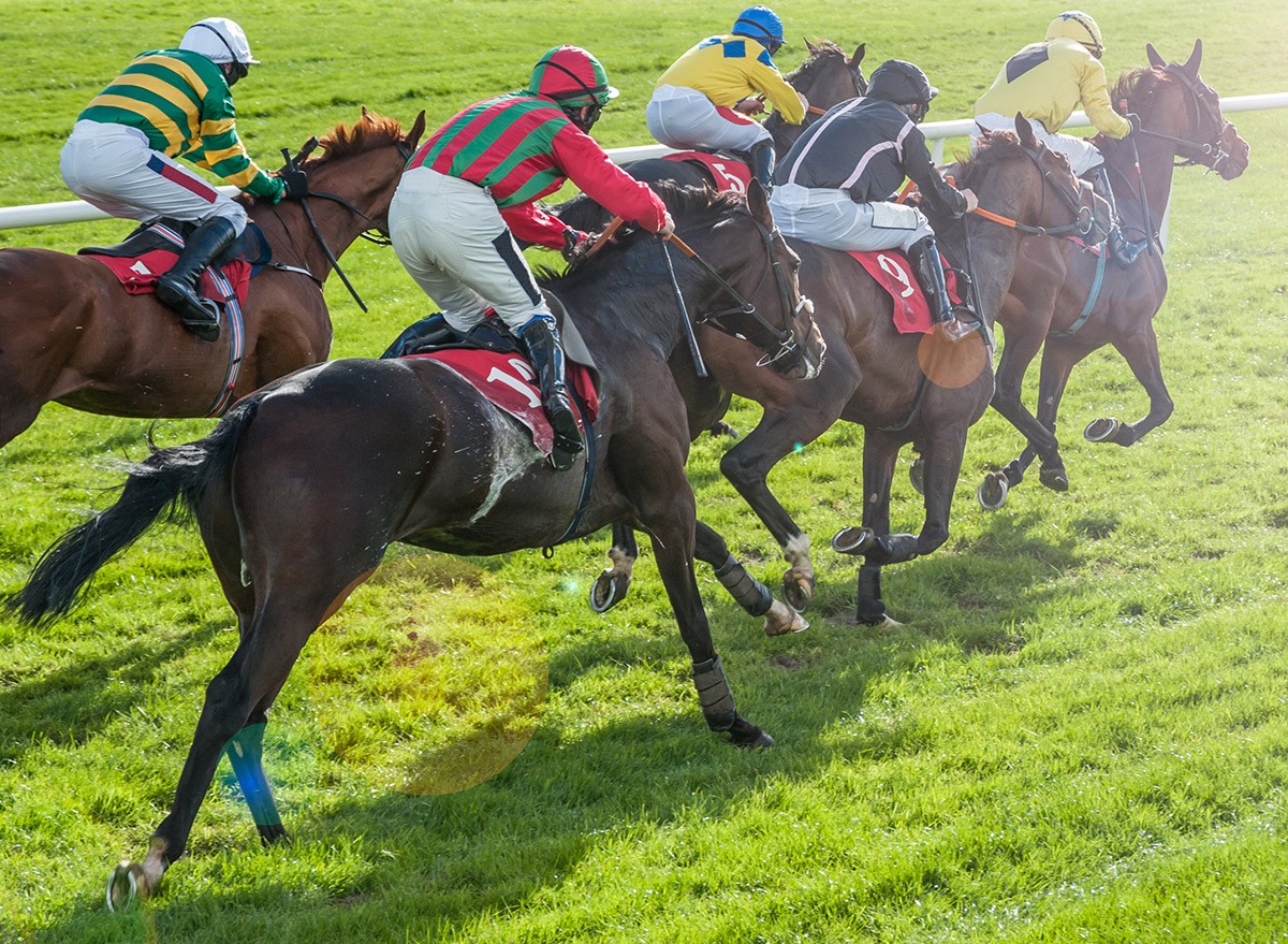 Jockeys on horses race on a track