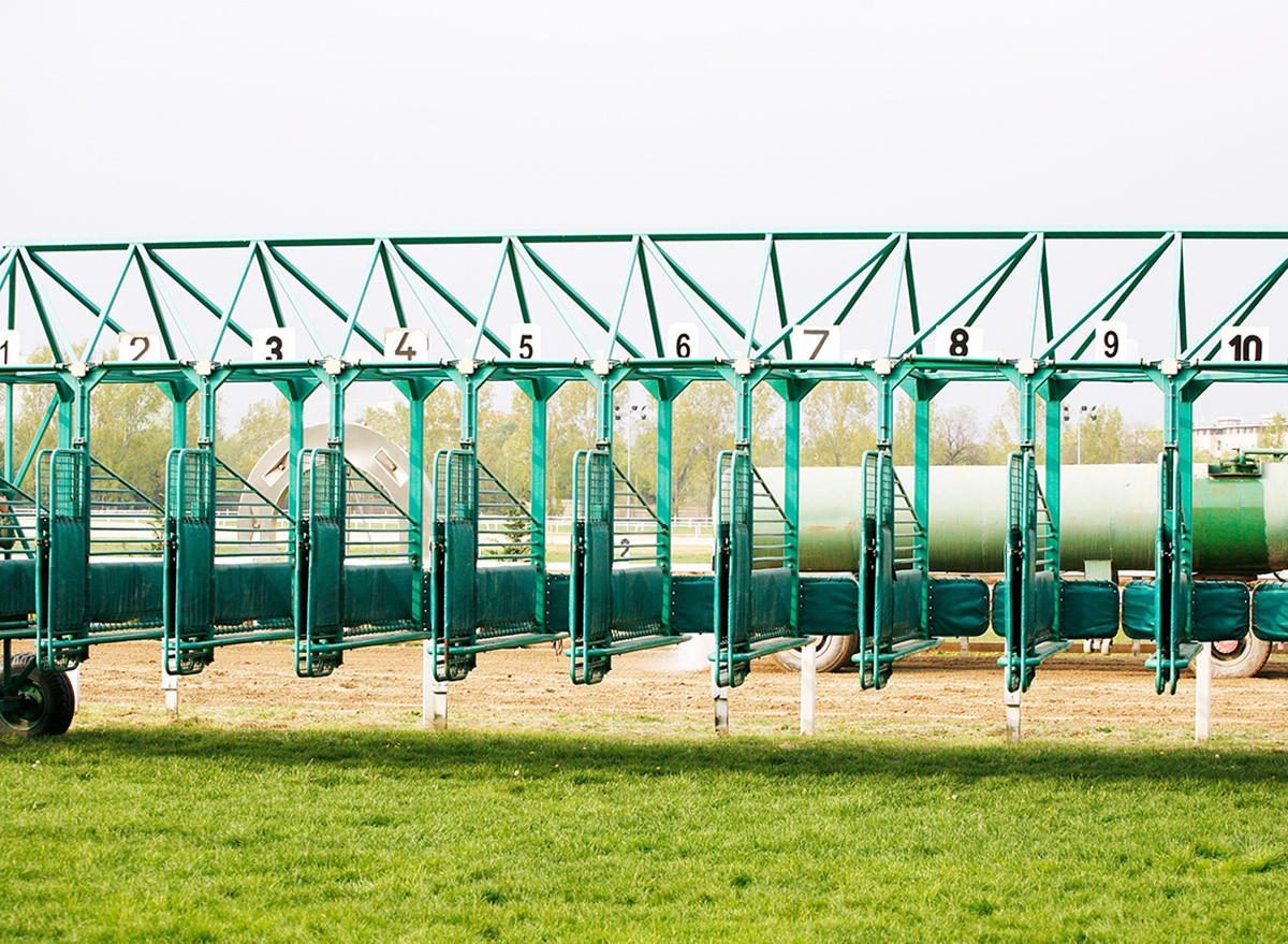Empty horse racing starting stalls at a racetrack
