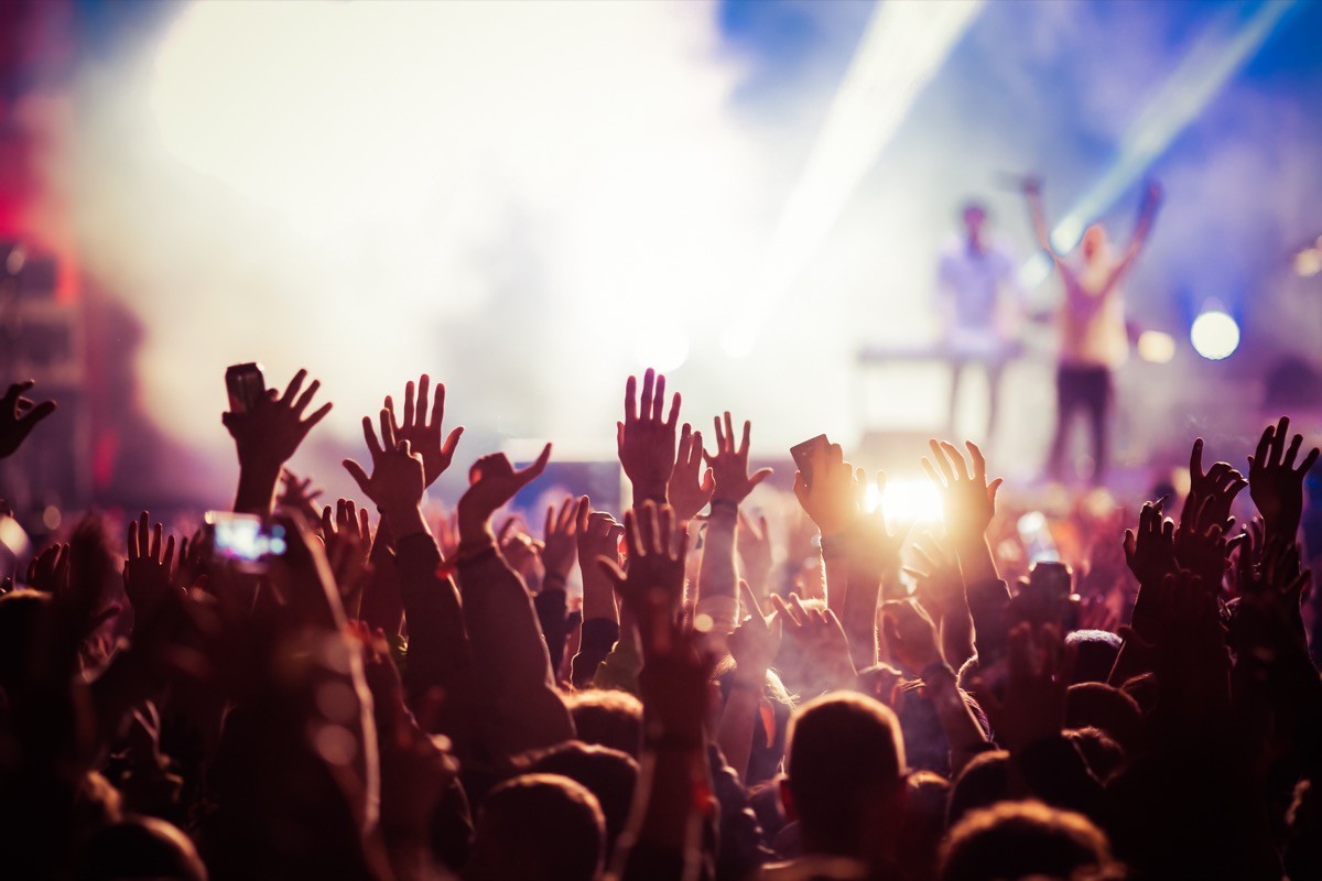 fans at a concert