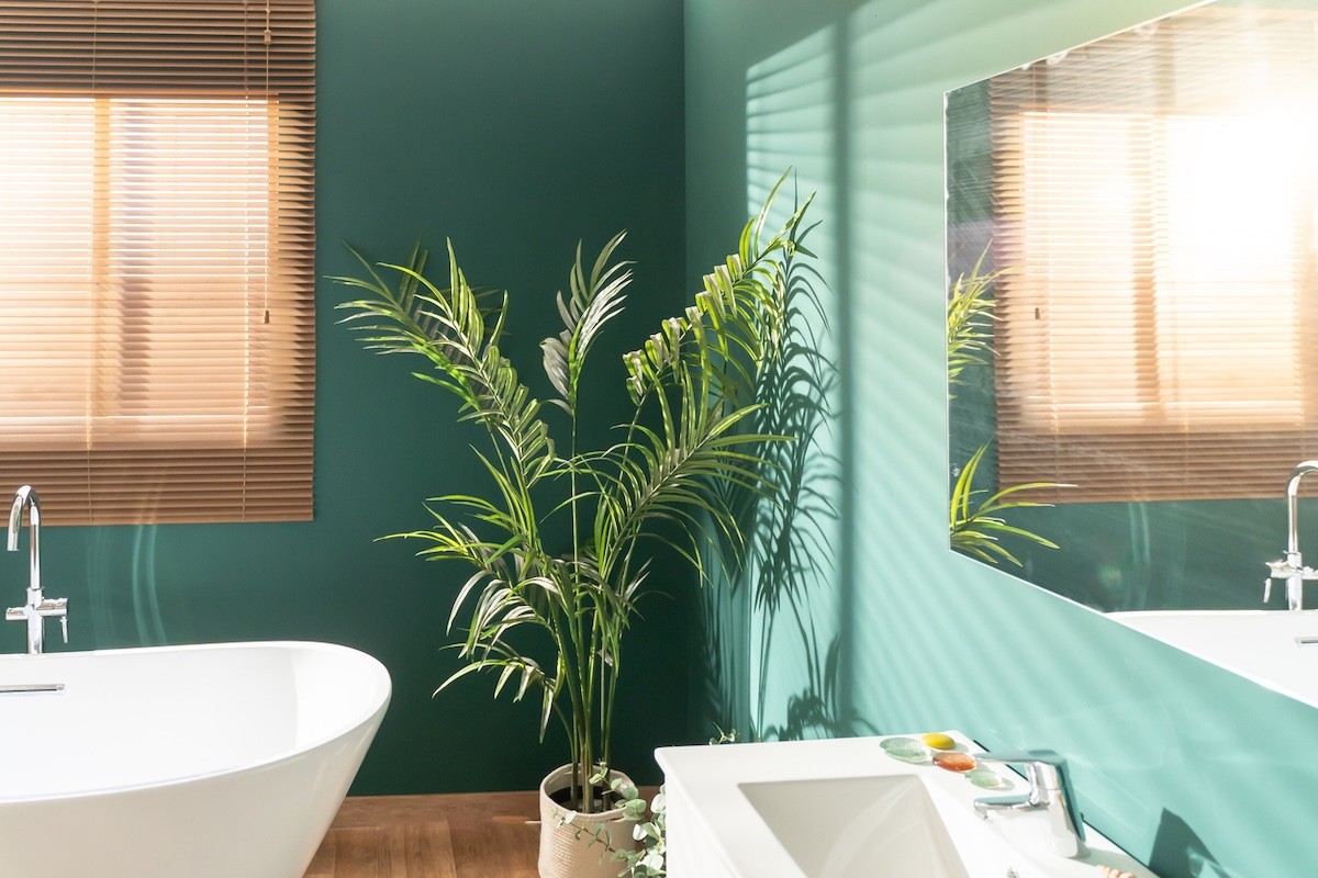 palm plant in a bathroom