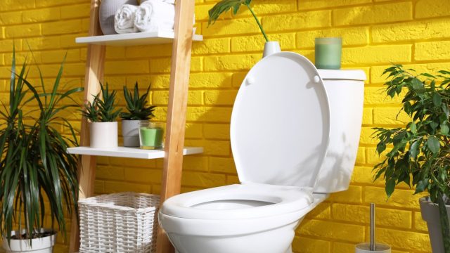 These 3 Houseplants Are the "Elegant" Way to Get Rid of Gross Bathroom Smells