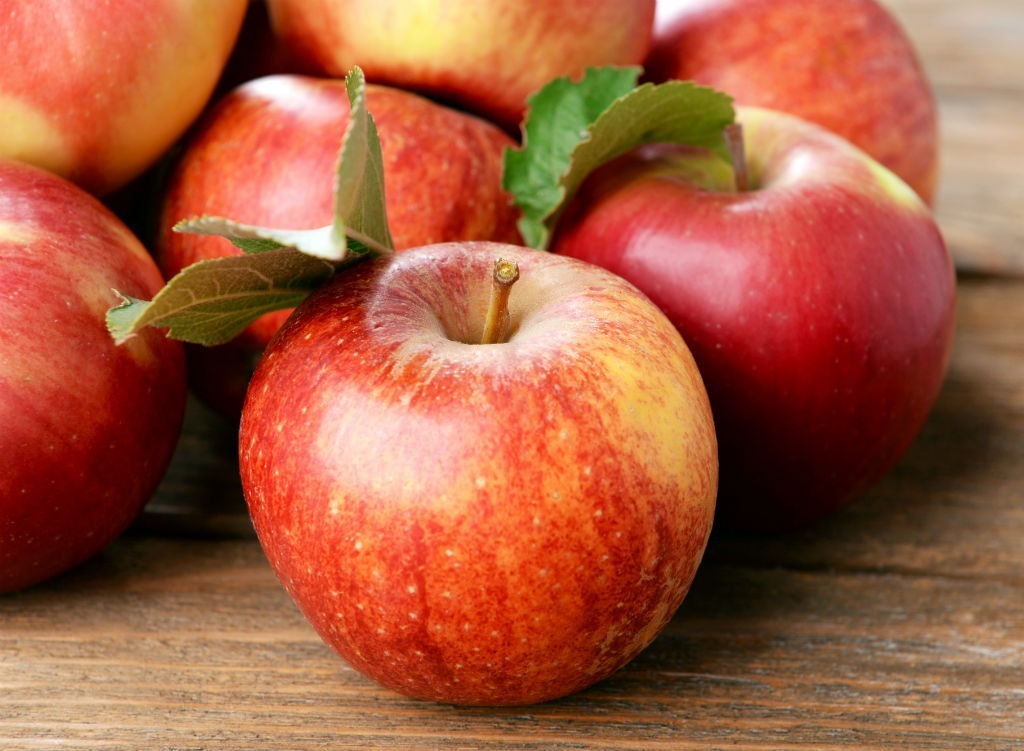 apple to demonstrate riddle